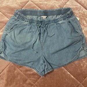 American Eagle Outfitters Denim Blue Athletic Shorts